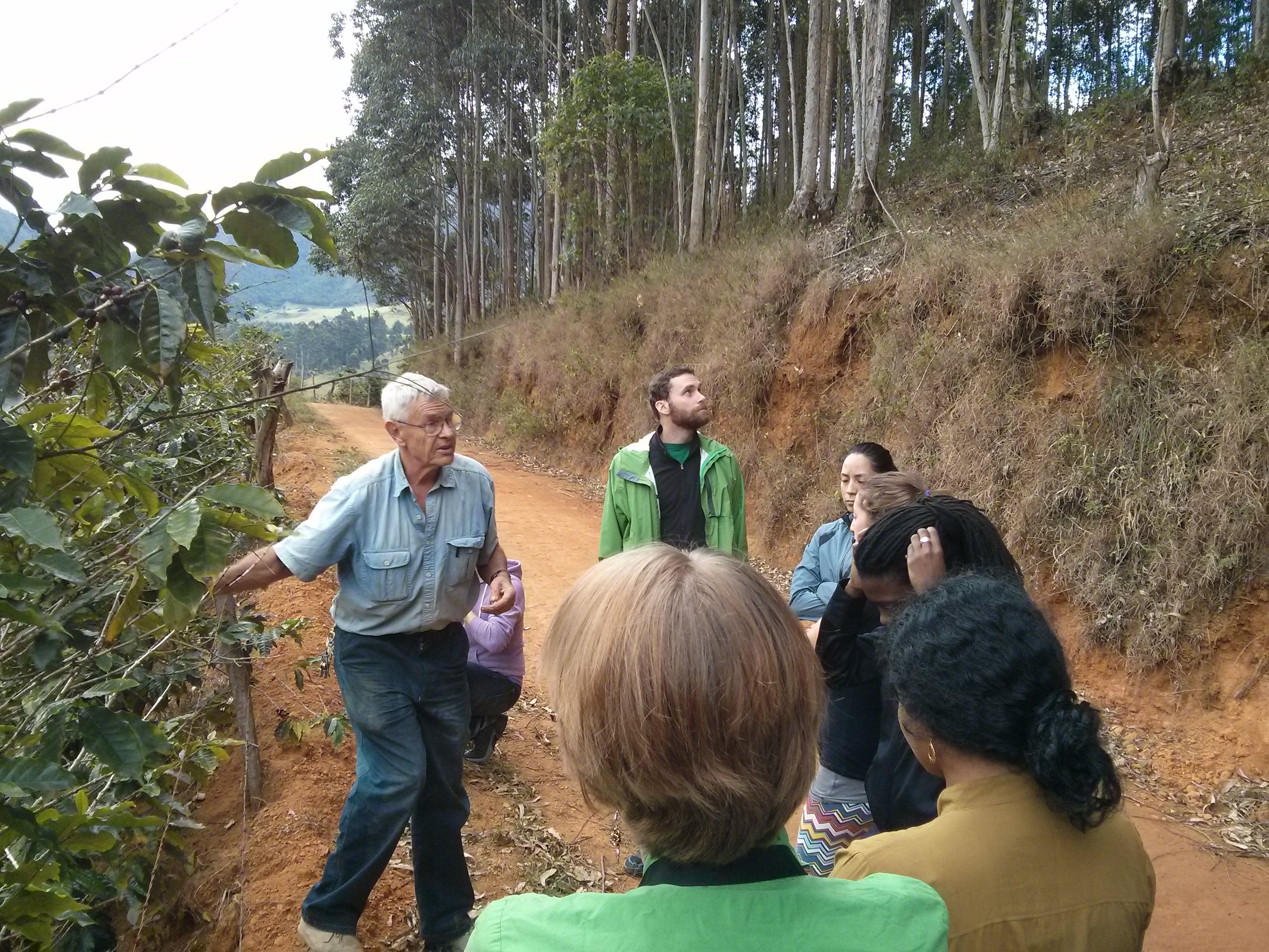 Brazil: Rural Livelihoods and Food Systems